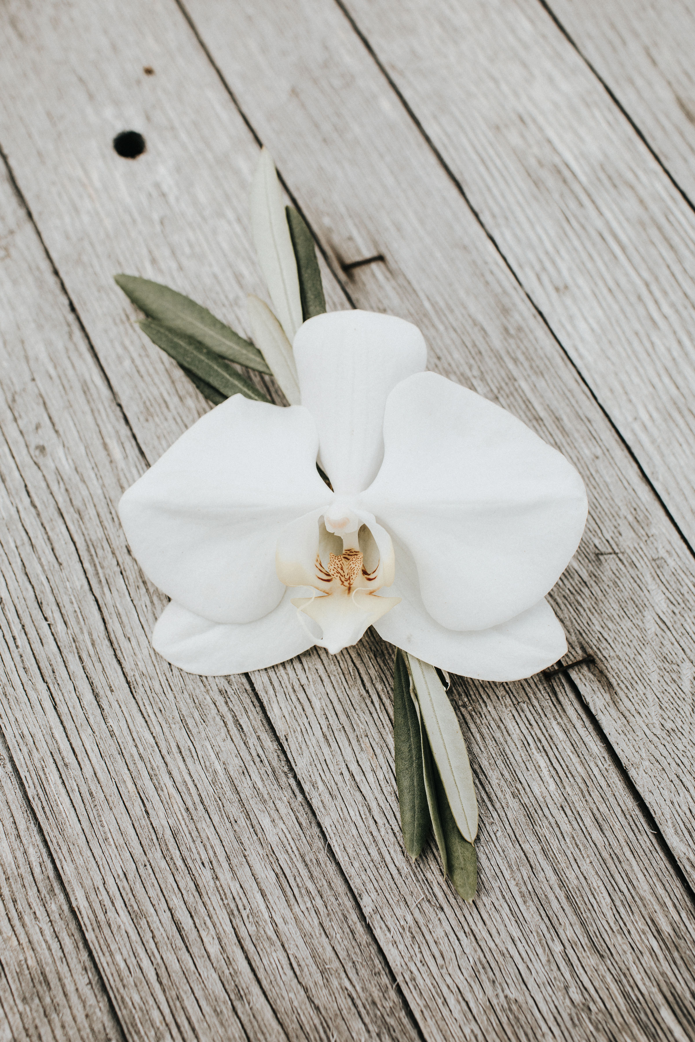 Sublime Stems | Cave B Inn | Eastern Washington | Poppi Photography