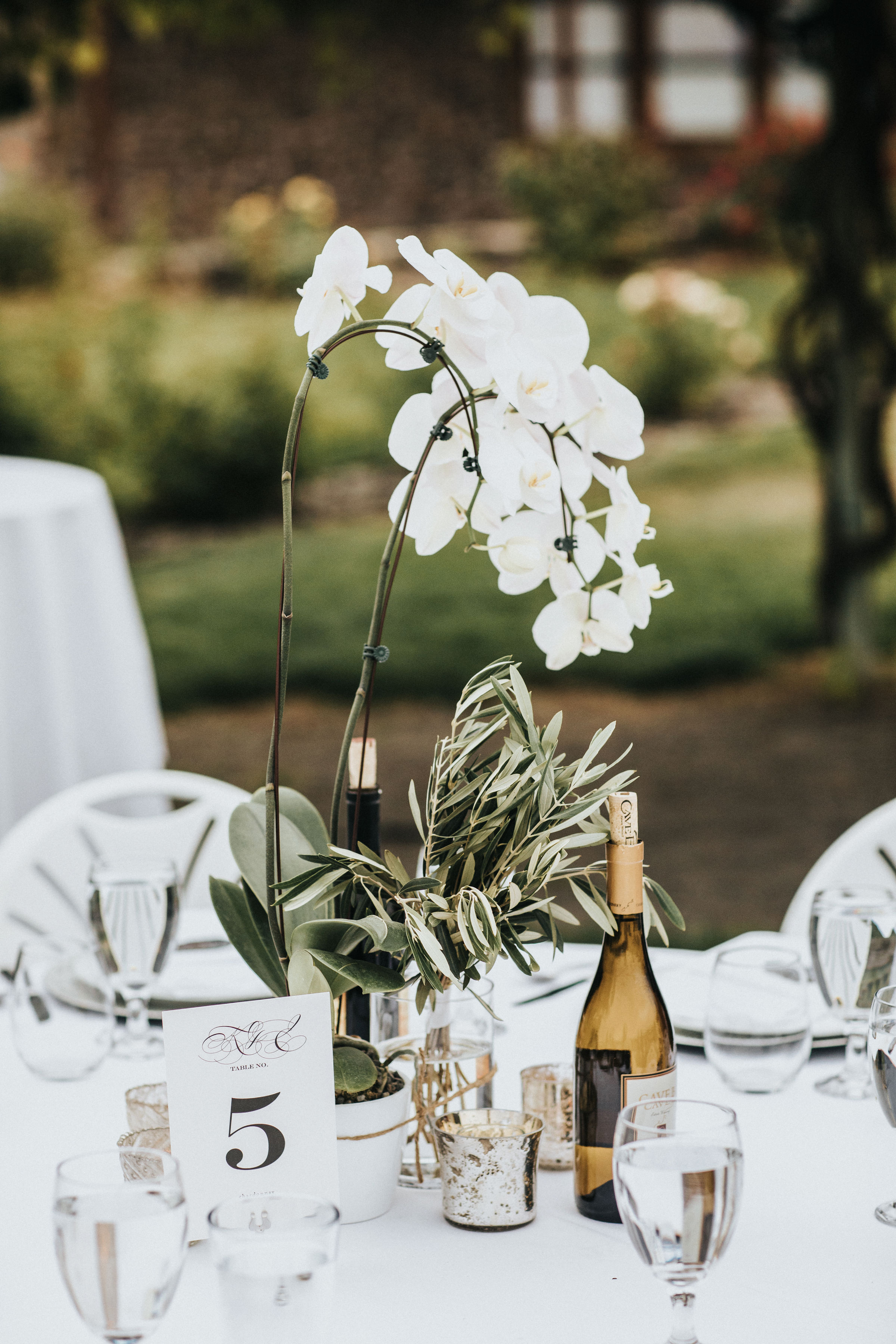 Sublime Stems | Cave B Inn | Eastern Washington | Poppi Photography