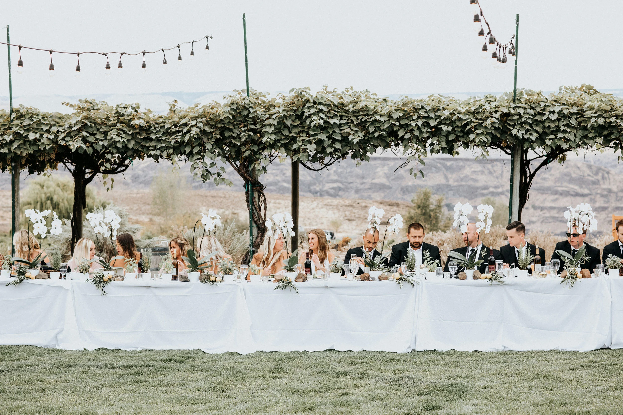Sublime Stems | Cave B Inn | Eastern Washington | Poppi Photography