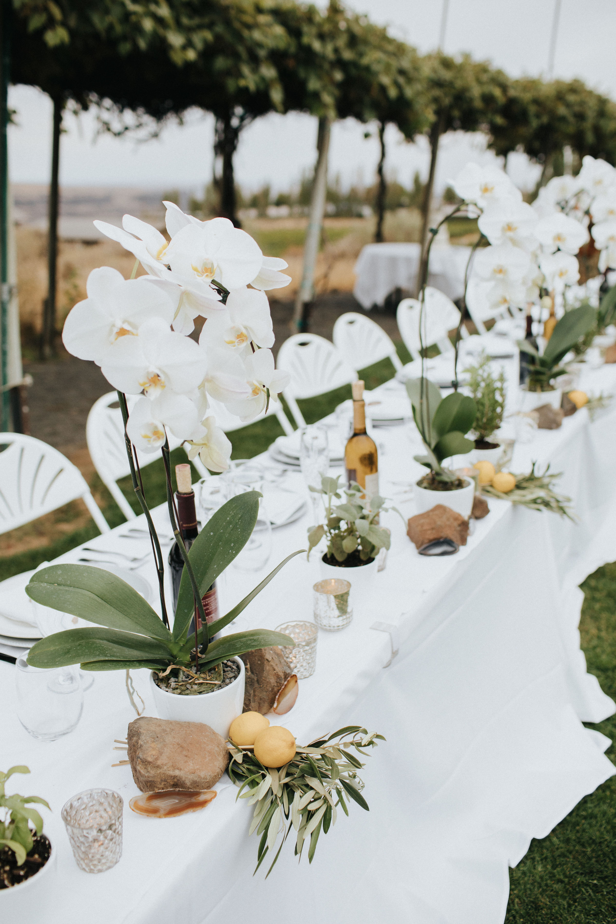 Sublime Stems | Cave B Inn | Eastern Washington | Poppi Photography