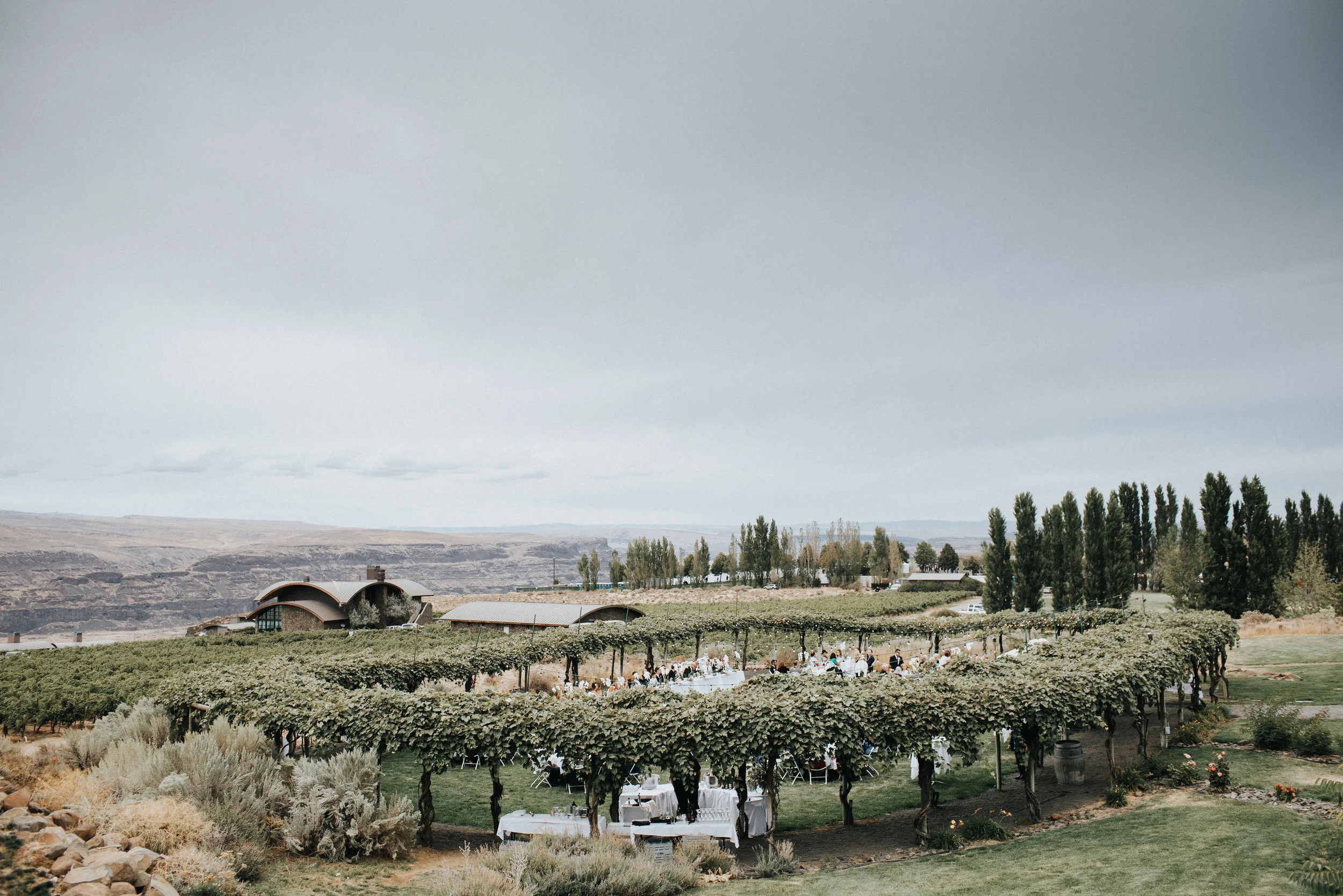 Sublime Stems | Cave B Inn | Eastern Washington | Poppi Photography