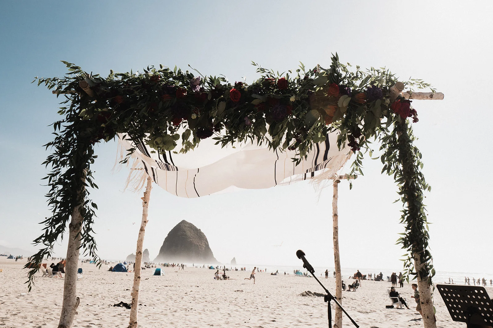 Sublime Stems | Surfsand Resort | Sullivan and Sullivan Studios