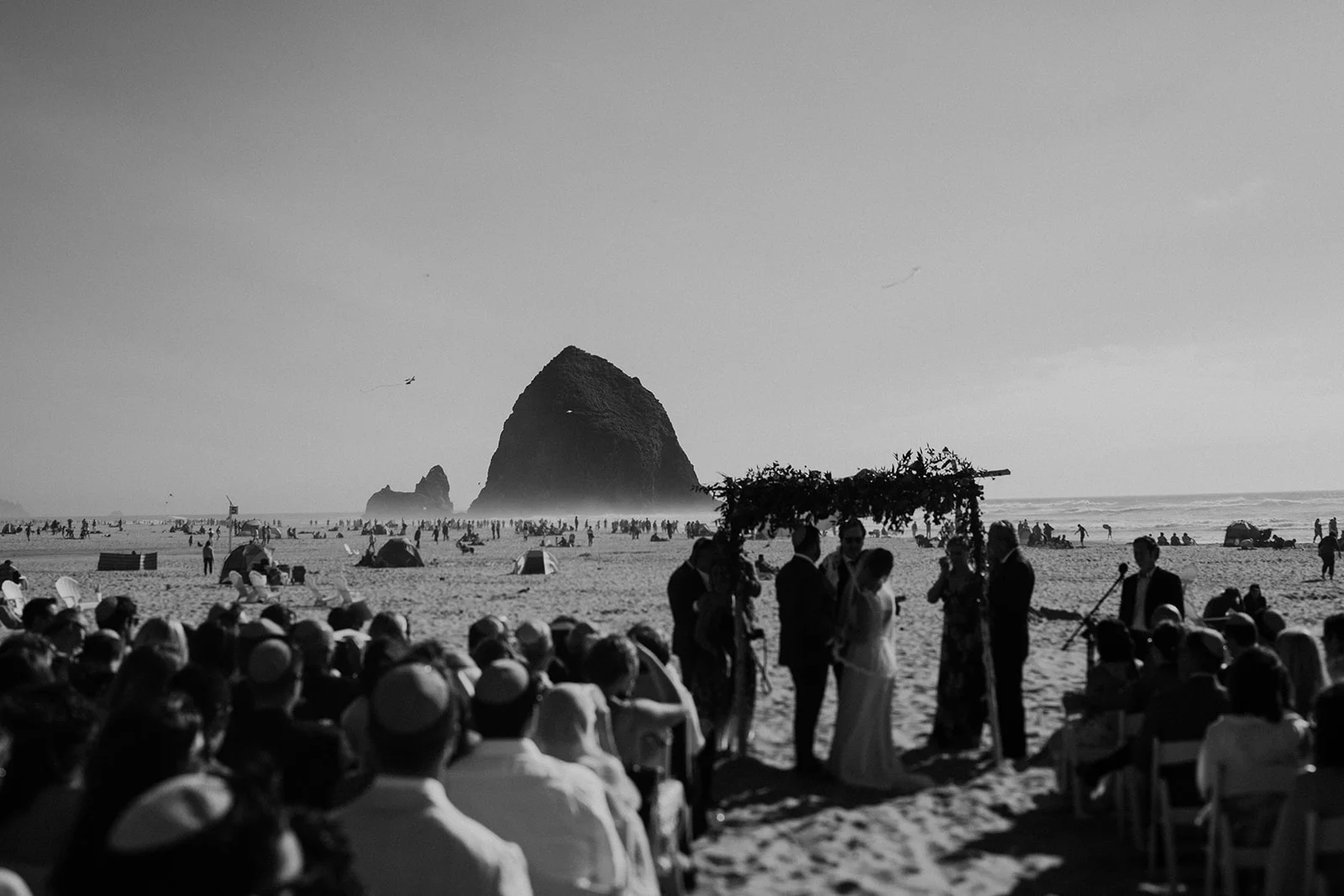 Sublime Stems | Surfsand Resort | Sullivan and Sullivan Studios