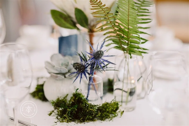 Sublime Stems | Tony Asgari Photography | Ray's Boathouse | New Creations Wedding Design & Coordination