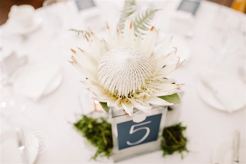 Sublime Stems | Tony Asgari Photography | Ray's Boathouse | New Creations Wedding Design & Coordination