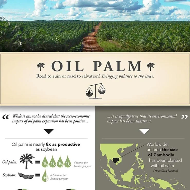 Palm_Oil_Balance-copy_thumb.jpg
