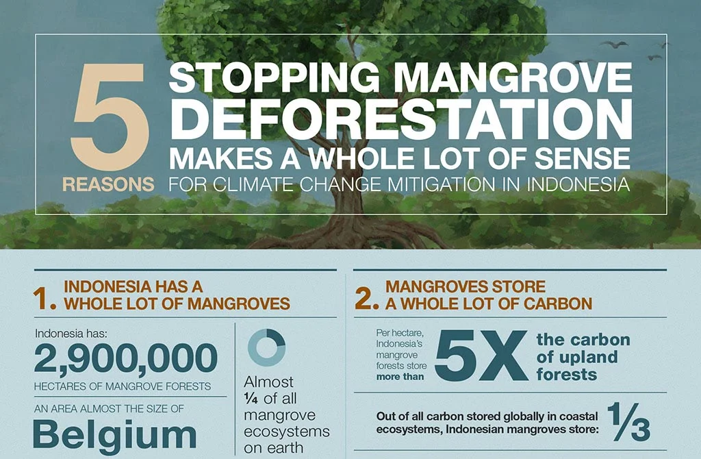 mangrove-thumb.jpg