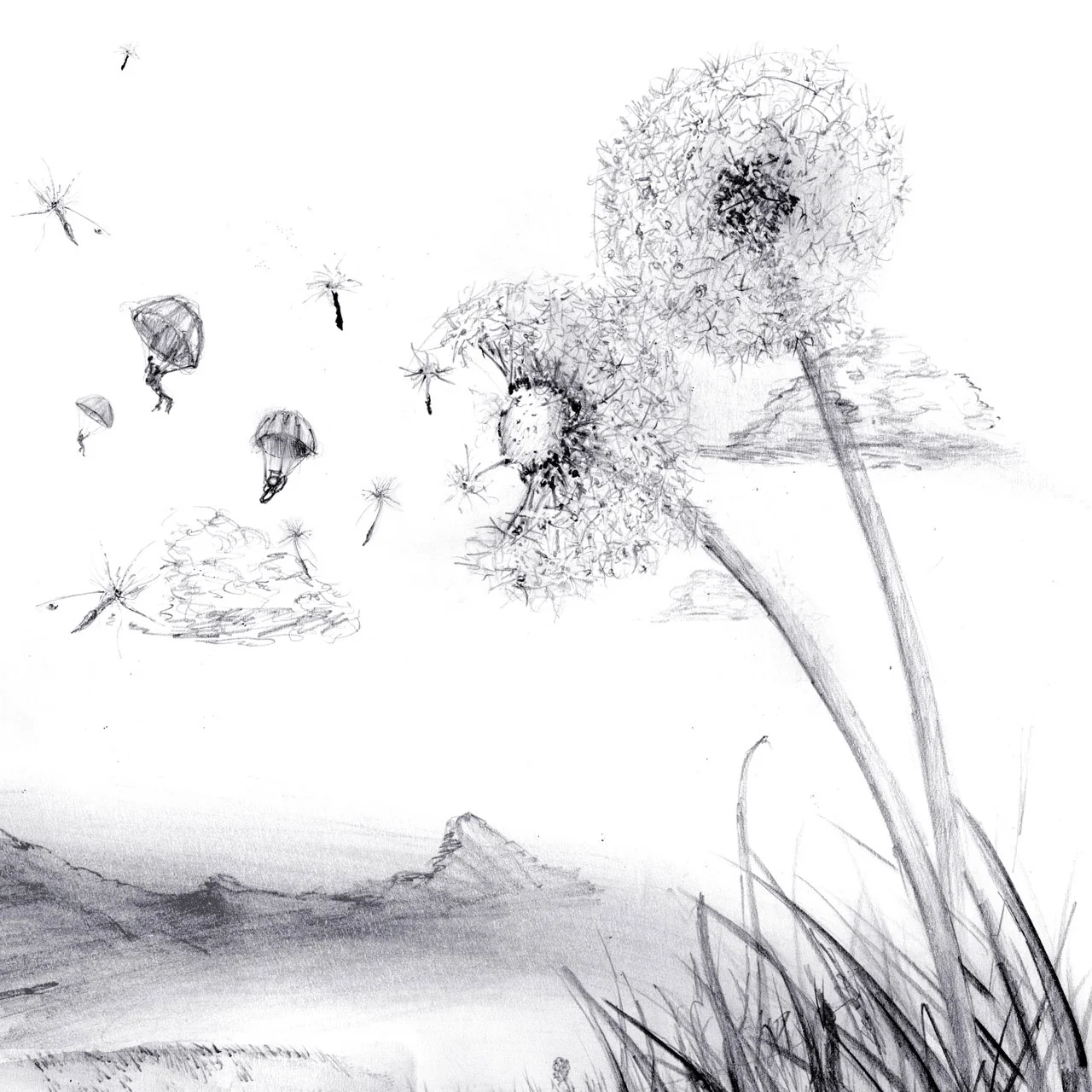 Dandelion paratroopers