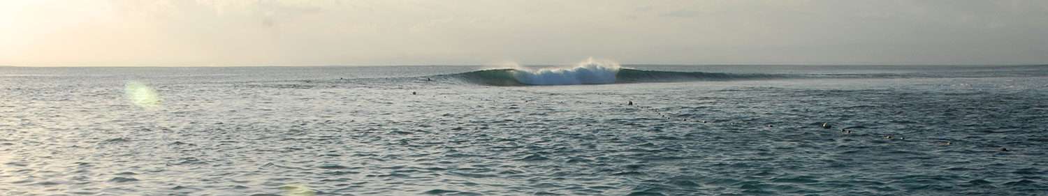 DSC_0949.jpg