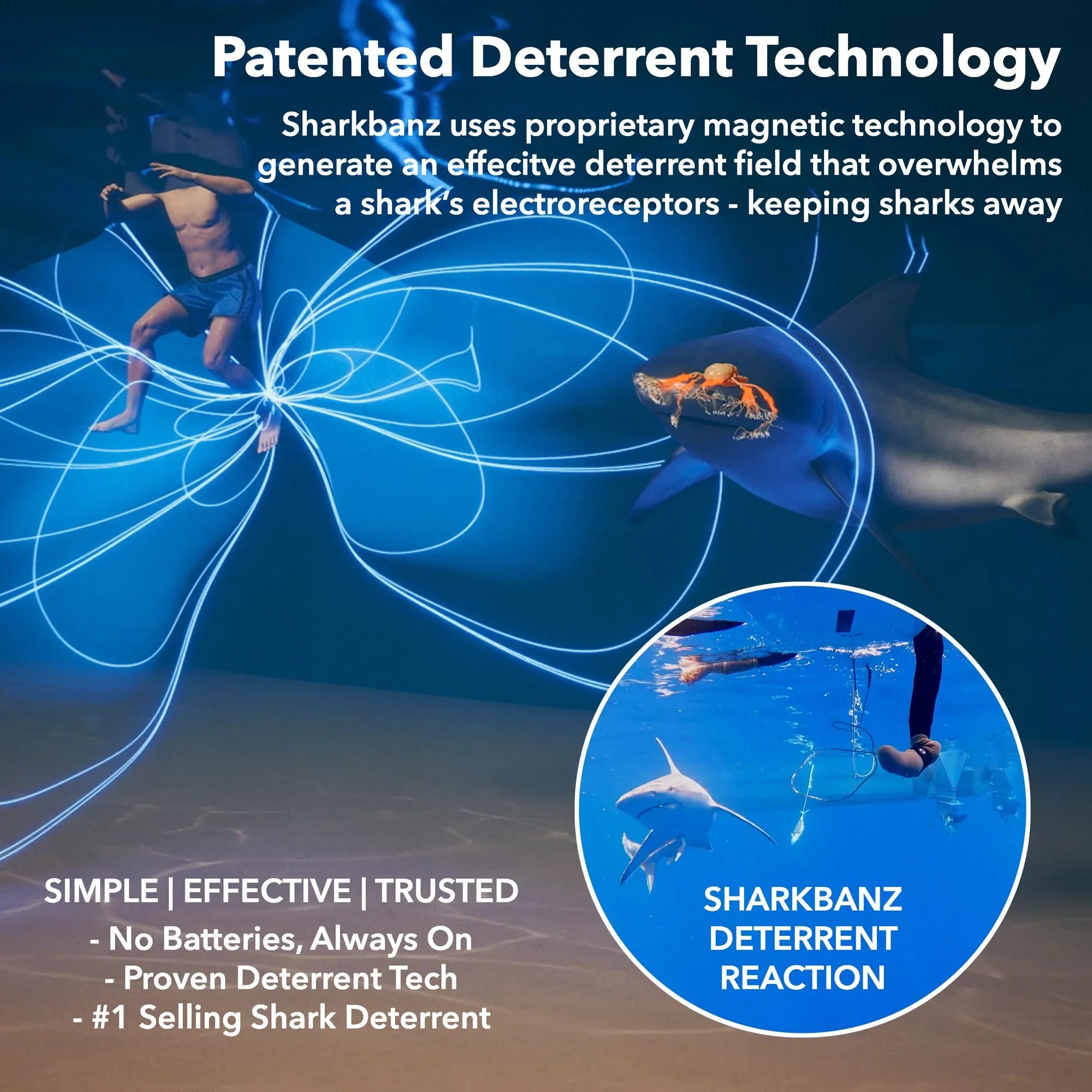 Sharkbanz-Amazon-Product-Collective-Features-Technology-Information-Proven-Shark-Deterrent-4_98c8b17a-575a-4440-addb-6043ea7613d1_2000x.jpg.webp
