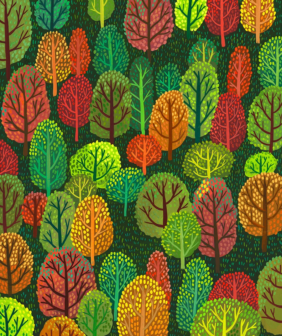 Why-Evergreens-Keep-Their-Leaves_Helena-Perez-Garcia_Illustration_03.jpg