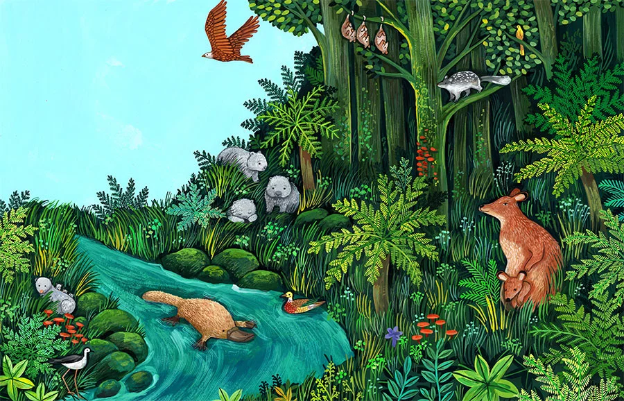 Tarkine-forest-illustration_nature.jpg