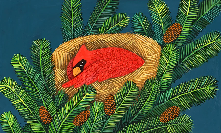 Why-Evergreens-Keep-Their-Leaves_Helena-Perez-Garcia_Illustration_07.jpg