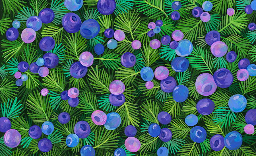 Why-Evergreens-Keep-Their-Leaves_Helena-Perez-Garcia_Illustration_05.jpg