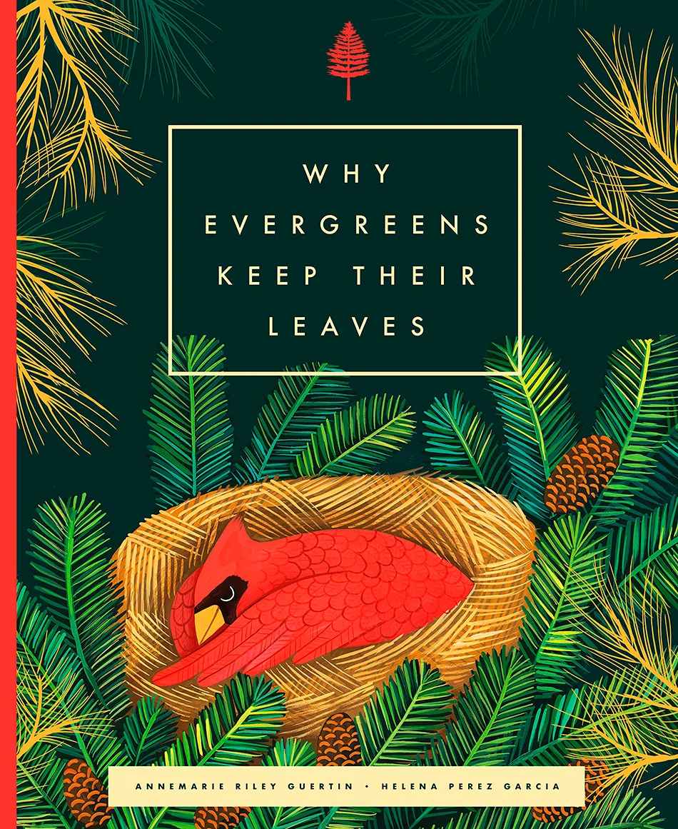 Why-evergreens-keep-their-leaves-helena-perez-garcia.jpg