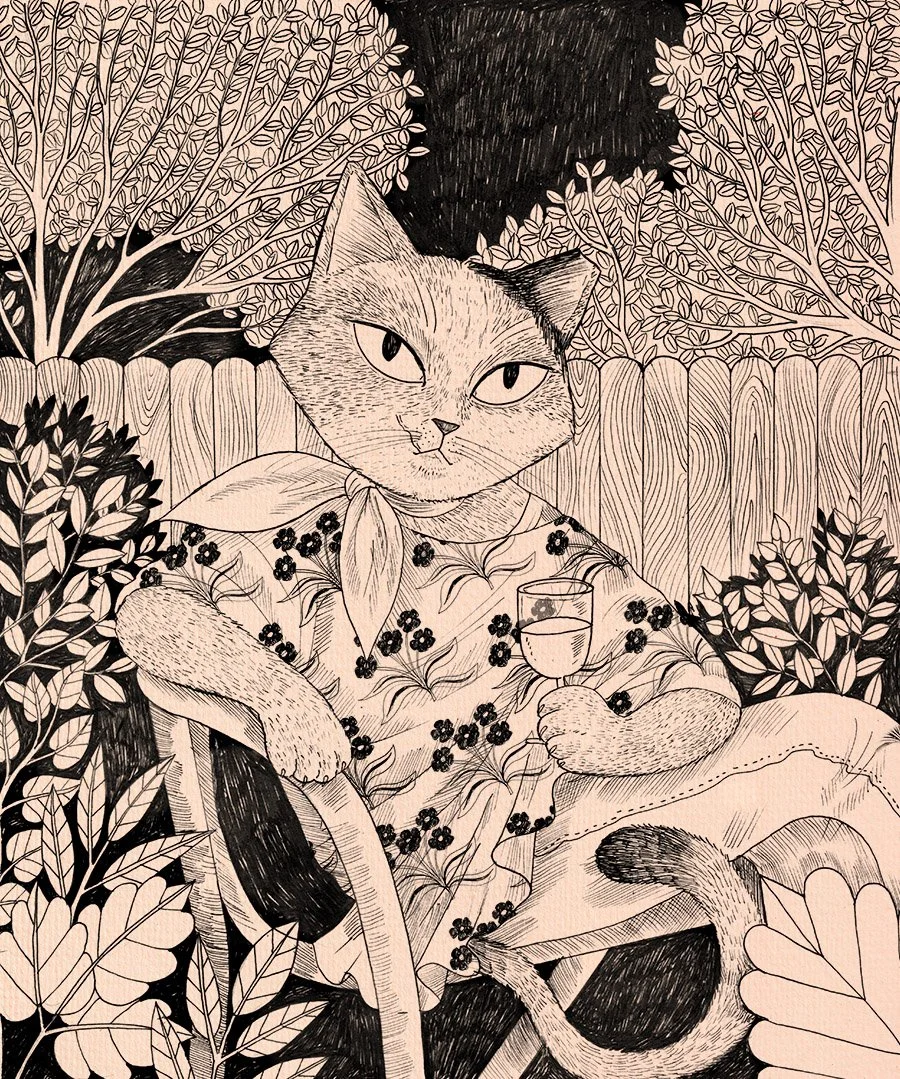Skratch_cat.jpg