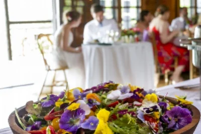 Anna and Sam wedding at Ohana Camp