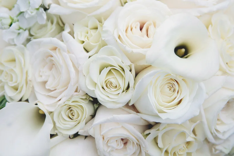 Photo credit: Ideal Impressions Photography // Wedding Planning: Graceful Events // Florist: LilyPots