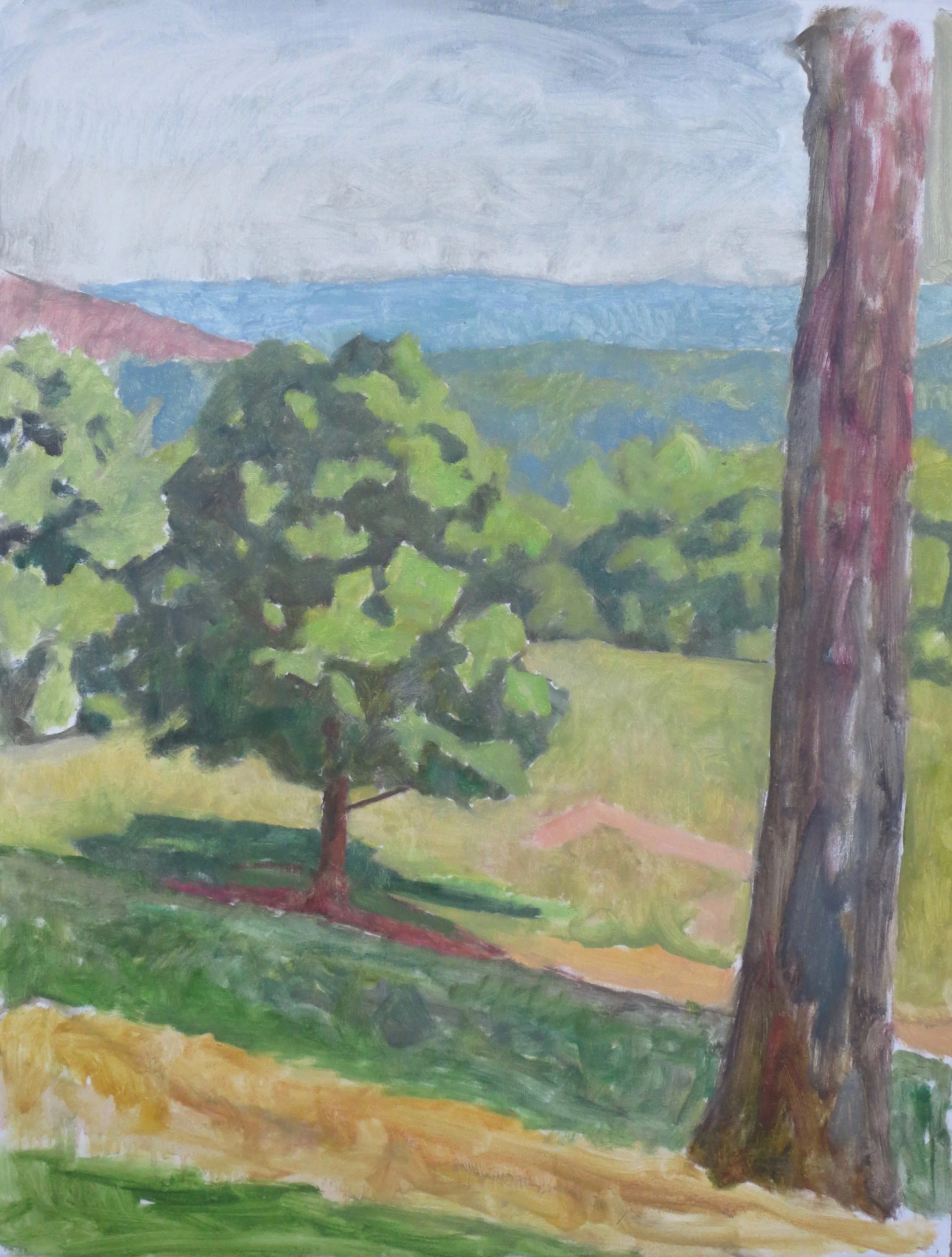 Pasture with Trees, 2016
