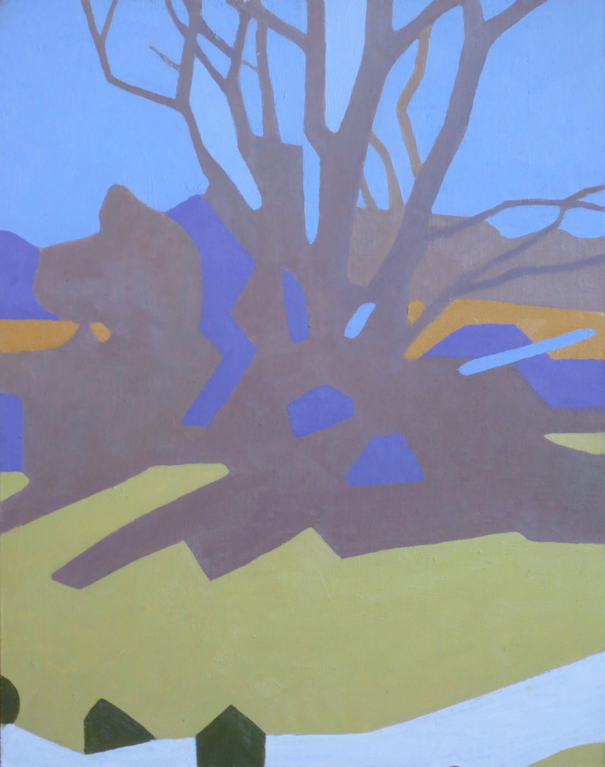 Trees in Late Light, 2016