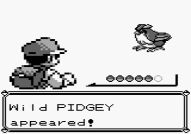 Look at that little feathery champ. Imagine befriending him and taking him with you through all your adventures. Doesn't it warm your heart?
