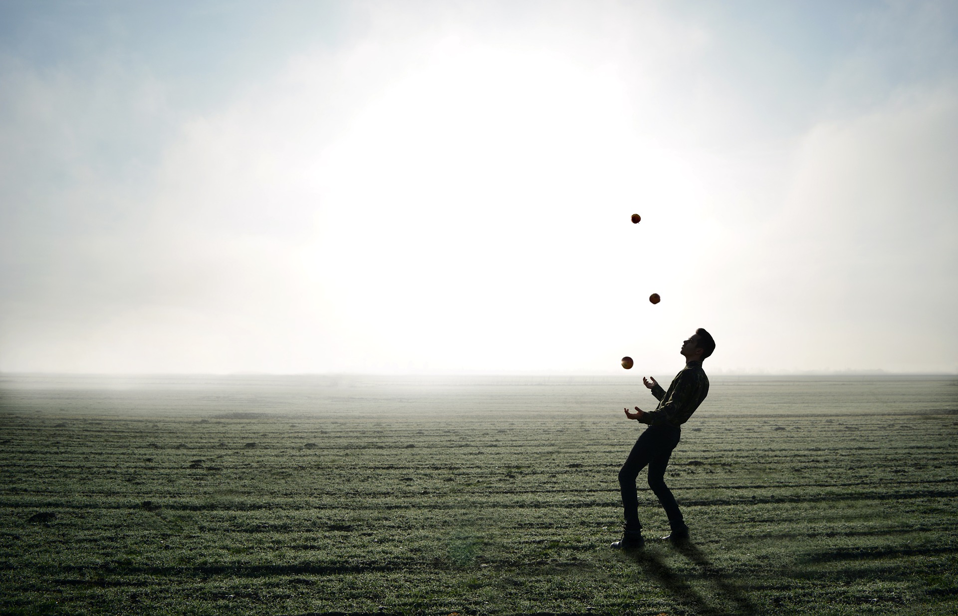 Juggling integrity in Aviation