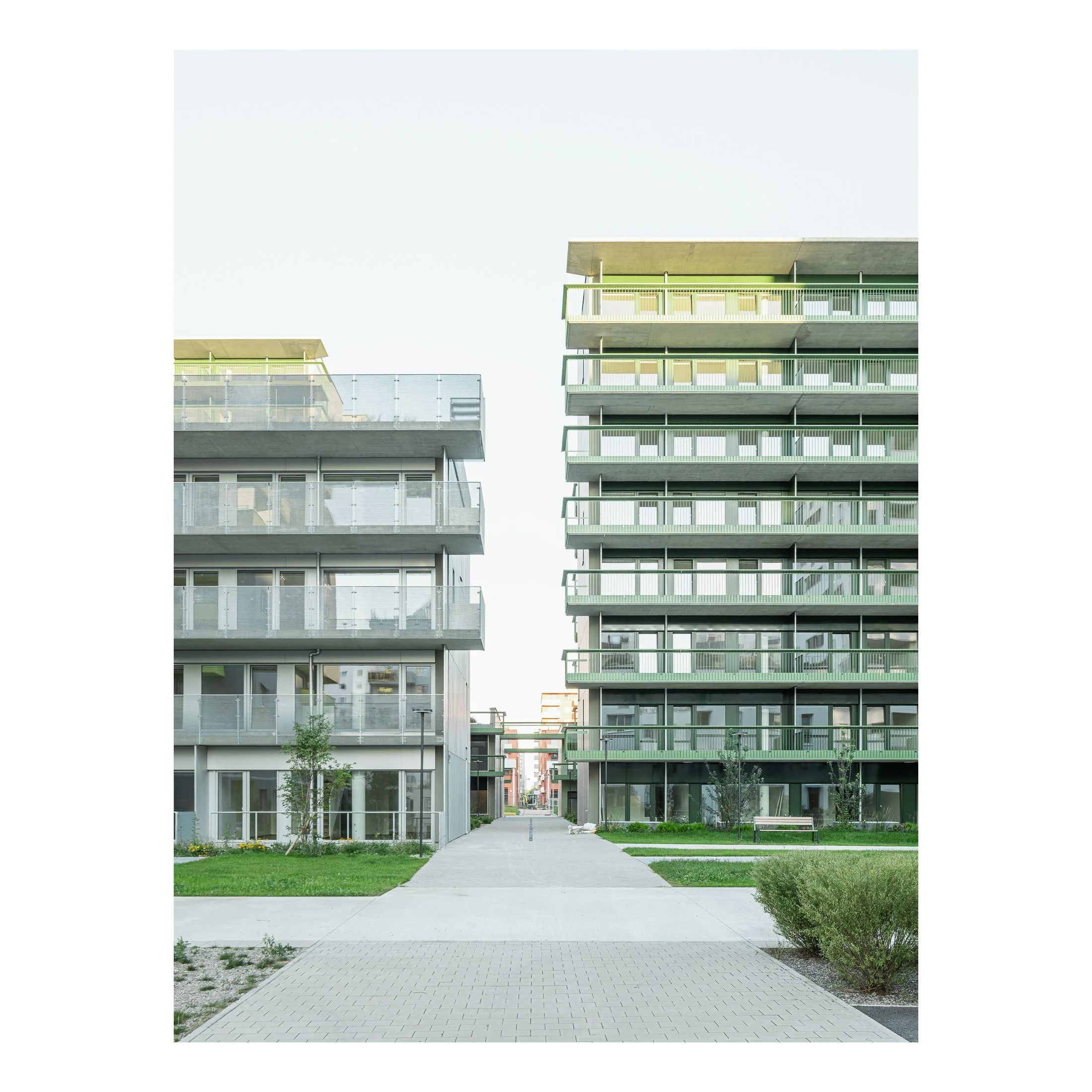 _G6A4414-edit.jpg