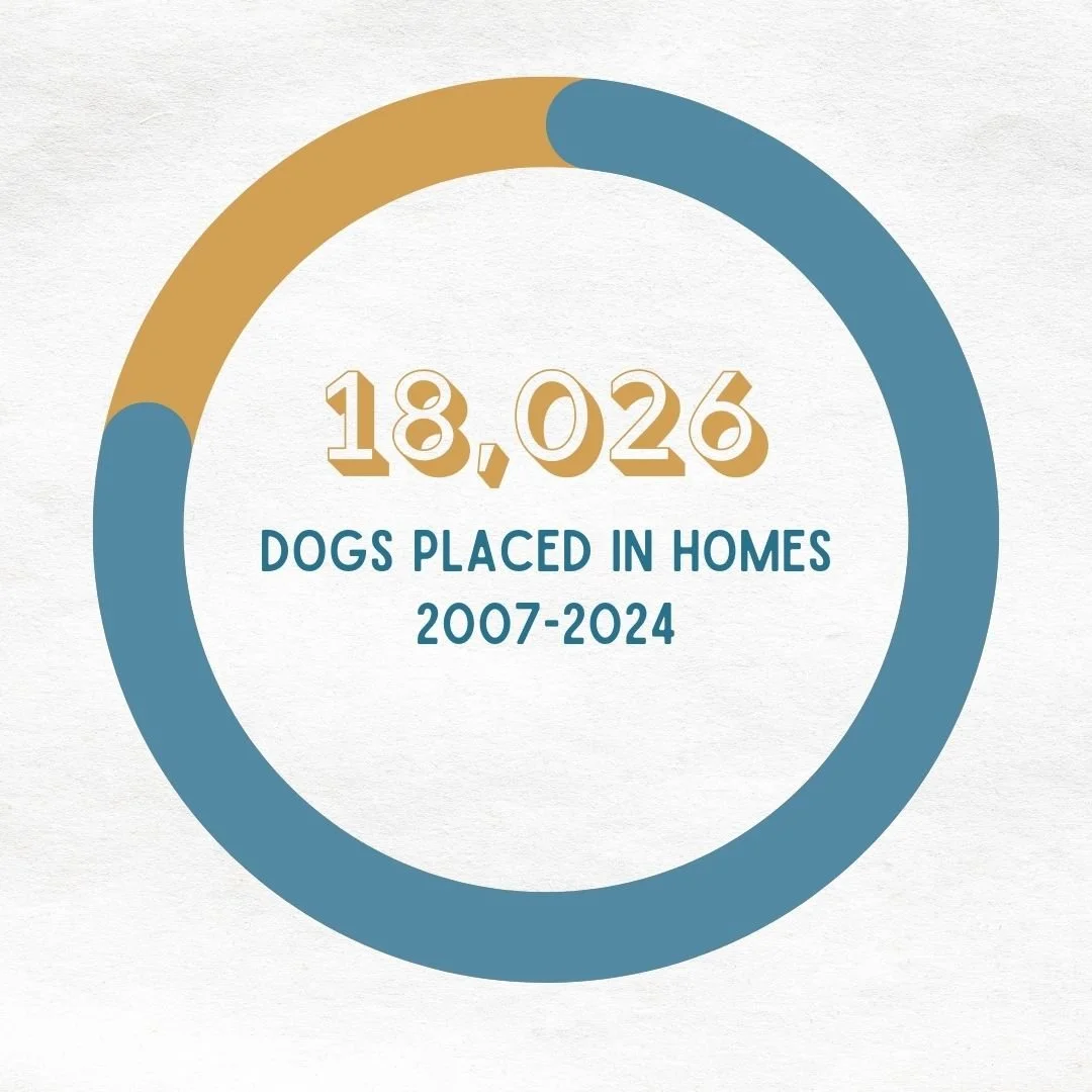 Oregon Dog Rescue oregon-dog-rescue