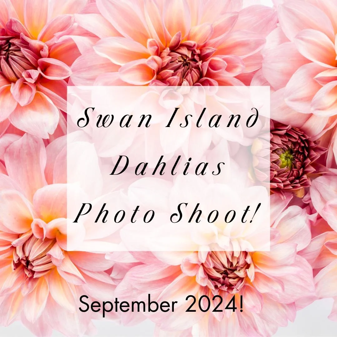 Events Oregon Dog Rescue events-oregon-dog-rescue