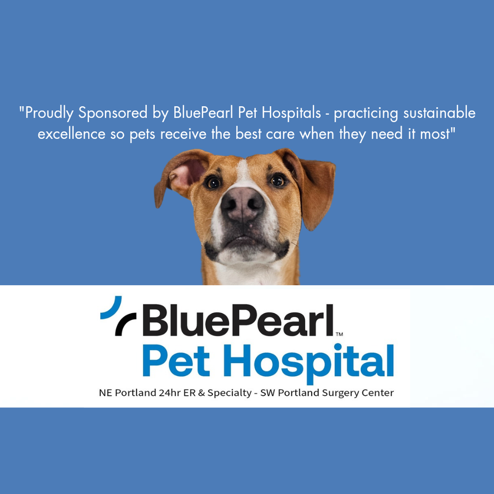 Veterinary Specialists Rivergate Emergency Vet Clinic Veterinary