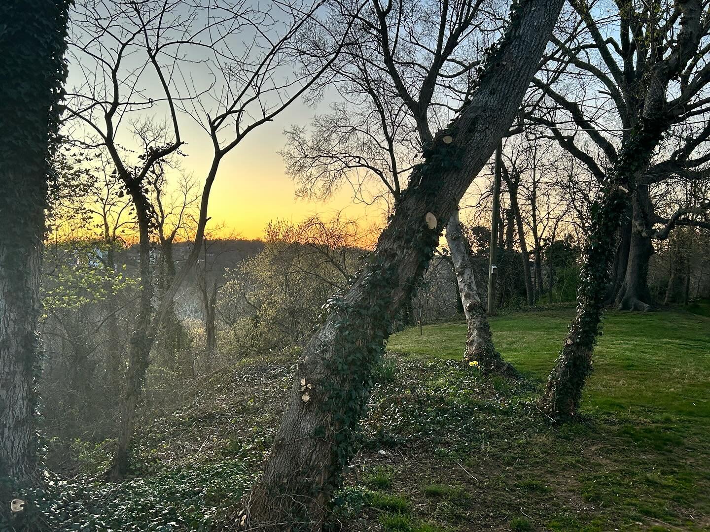 Sunset from a DC cliff

#Potomac
#Palisades
#ParadigmShift