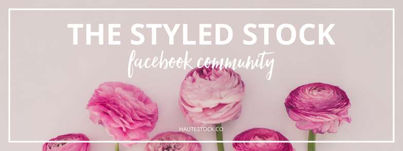 Your social media will be looking fresh with this social media cover image created using Haute Stock floral images. To see more floral graphic examples, click here to view the full article!