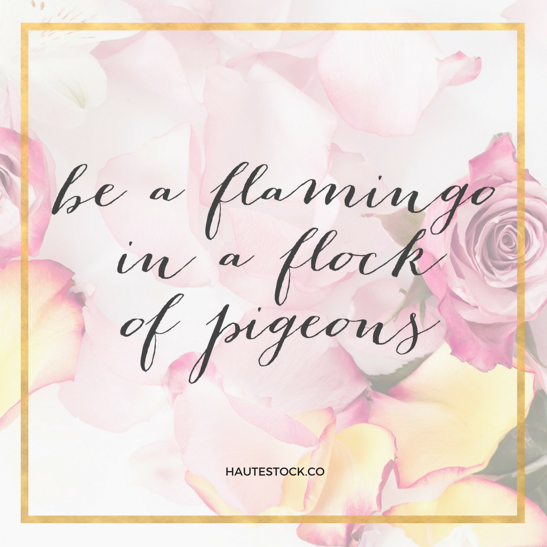 Haute Stock's example of how to create beautiful instagram quote graphics using styled stock photography!
