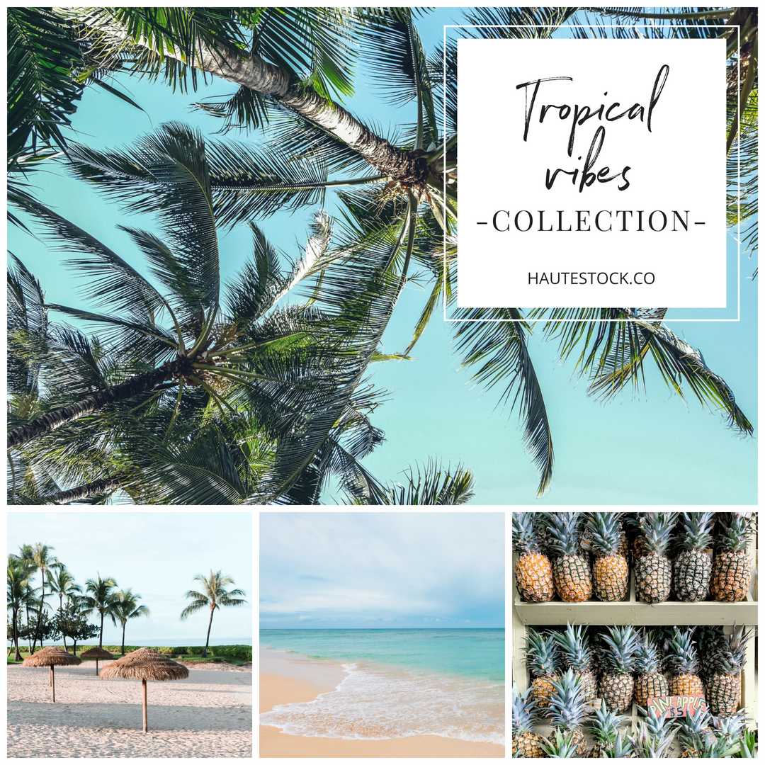 Haute Stock photography - Tropical Vibes Collection