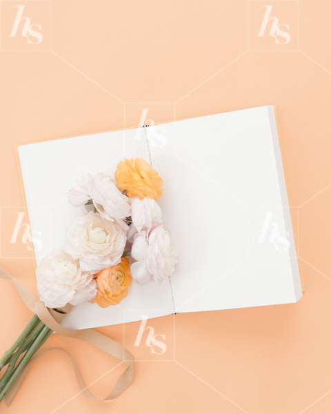 haute-stock-photography-peachy-23.jpg
