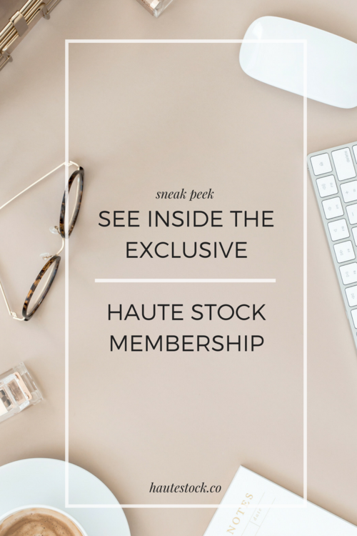 What's it like on the inside? A sneak peak into the exclusive Haute Stock membership site!