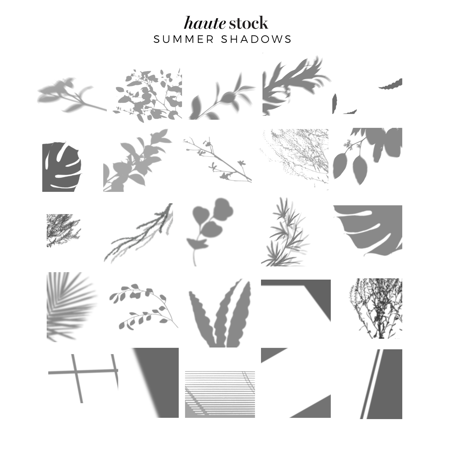 Botanical & abstract shadow overlays for mood-setting graphics for your brand from Haute Stock! Click to see a design tutorial on how to use these graphics in your own designs!