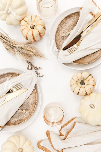 haute-stock-photography-fall-tablescape-final-6.jpg