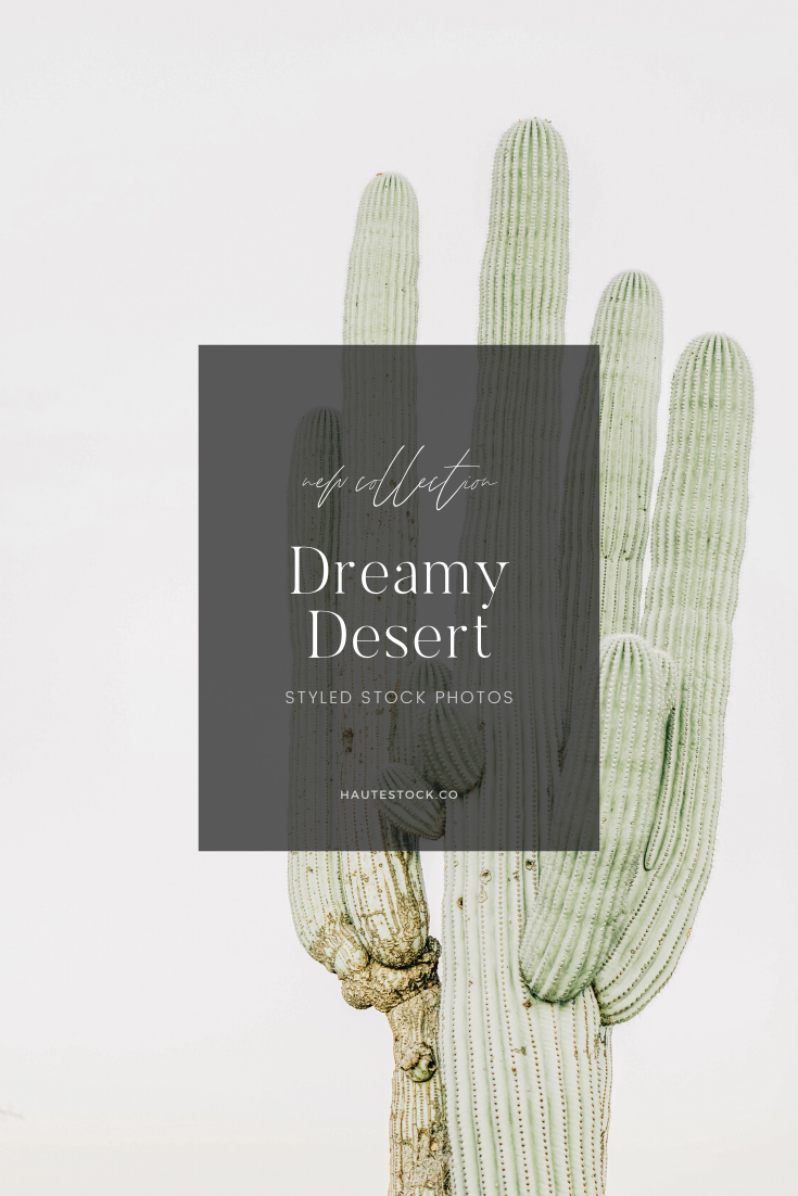 Haute Stock dreamy desert health and wellness lifestyle stock photography featuring a color palette of sage green and peach.