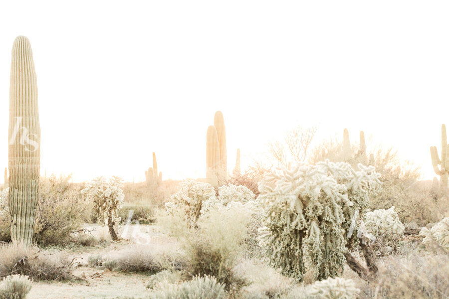 haute-stock-photography-dreamy-desert-collection-final-13.jpg