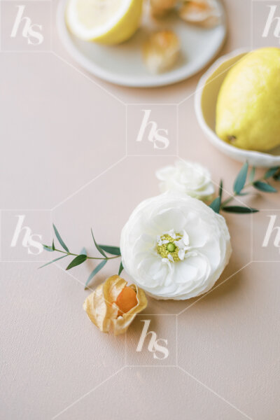 haute-stock-photography-spring-at-home-final-6.jpg