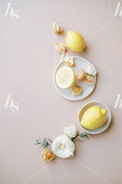 haute-stock-photography-spring-at-home-final-10.jpg