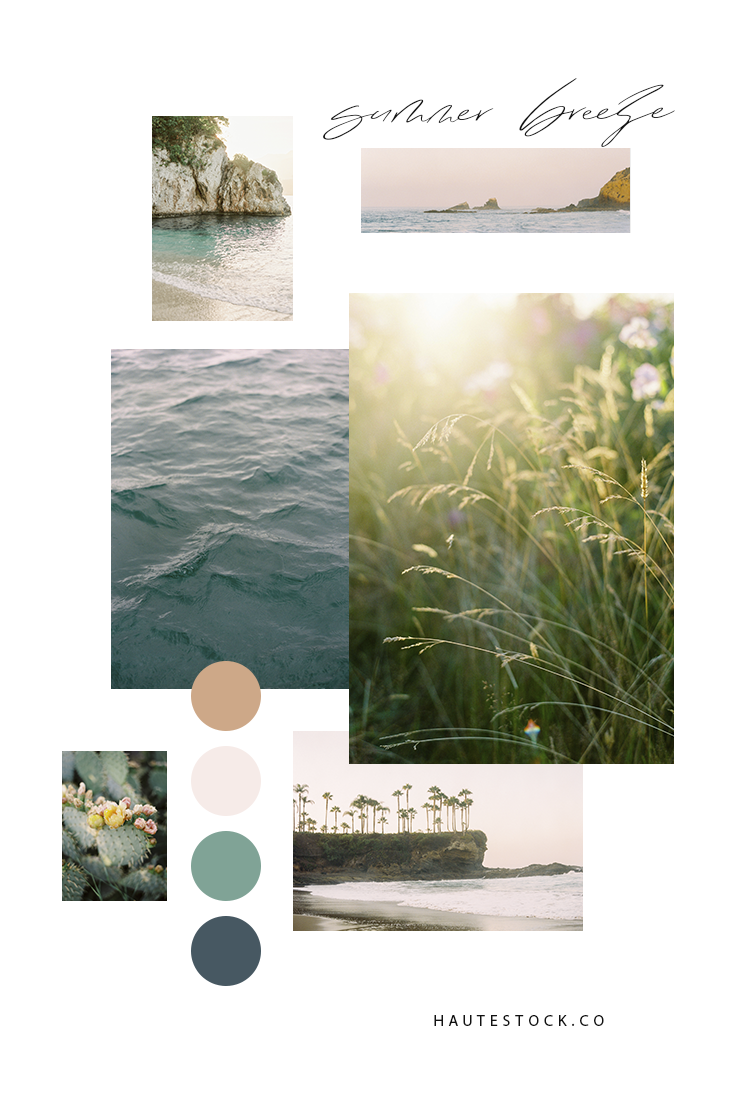 Summer landscape and travel images featuring sand, ocean, flowers, plants, and all the dreamy images you crave for your business.