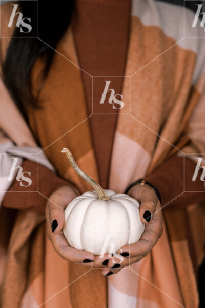 haute-stock-photography-cozy-szn-collection-final-1.jpg