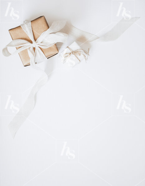 haute-stock-photography-subscription-neutral-holiday-collection-final-13.jpg