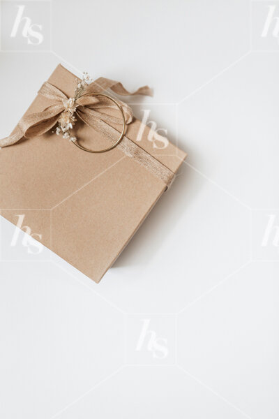 haute-stock-photography-subscription-neutral-holiday-collection-final-23.jpg
