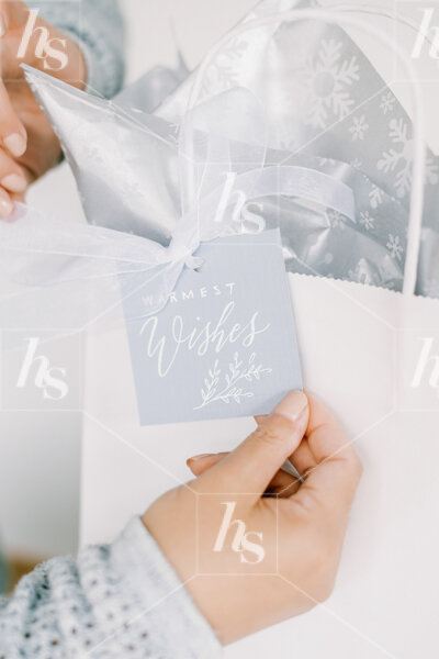 haute-stock-photography-subscription-cards-calligraphy-collection-final-17.jpg