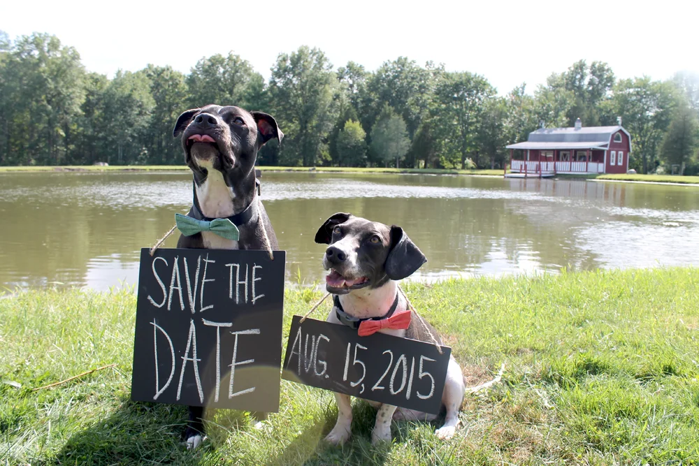 save-date-mom.jpg