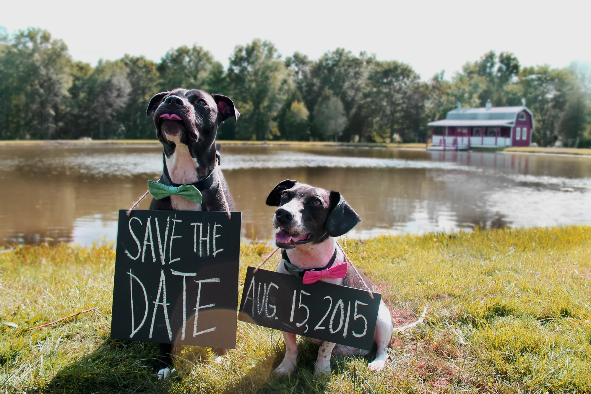 Save the Date - Large.jpg