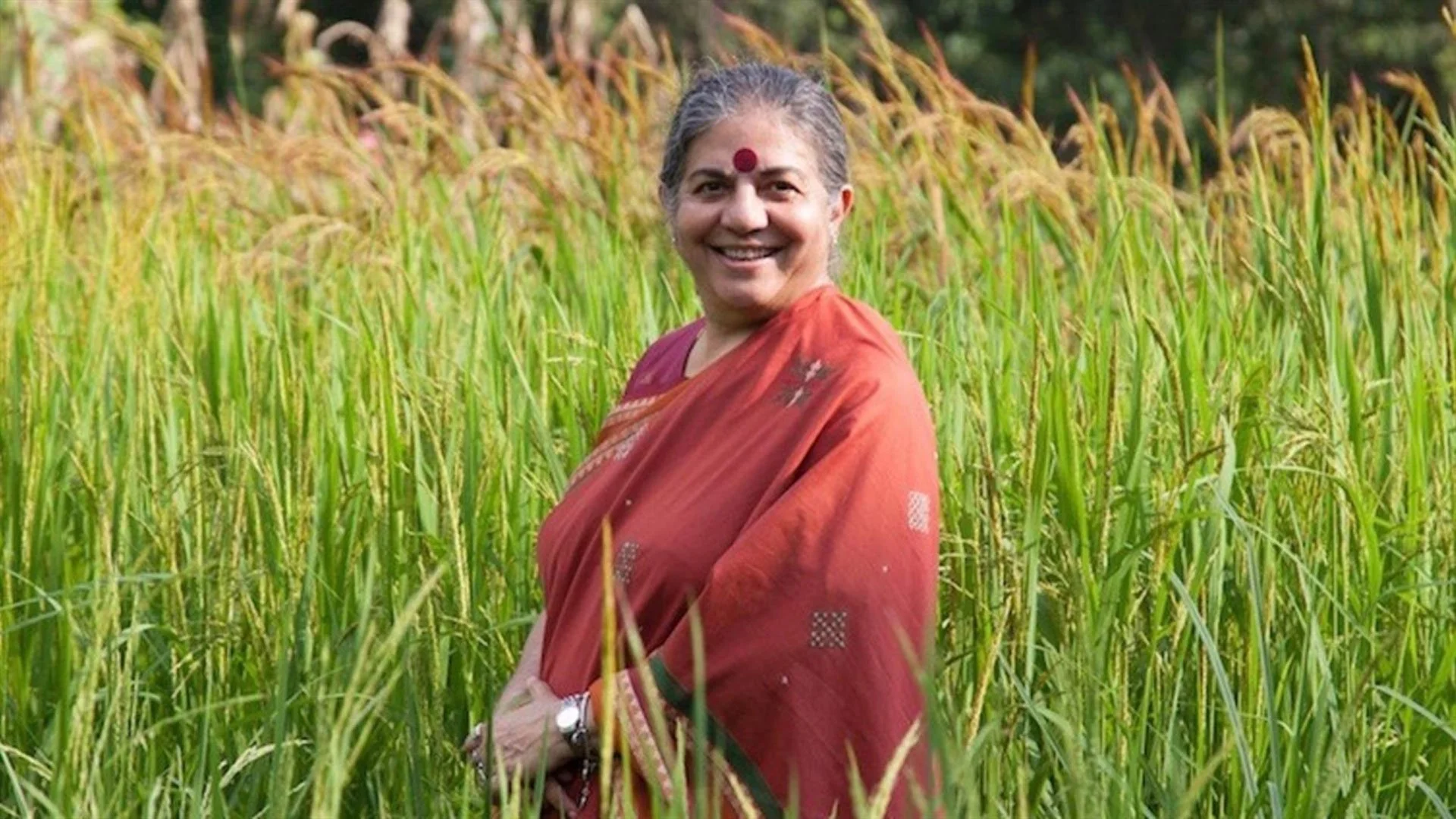 The Seeds of Vandana Shiva (Gratis visning)